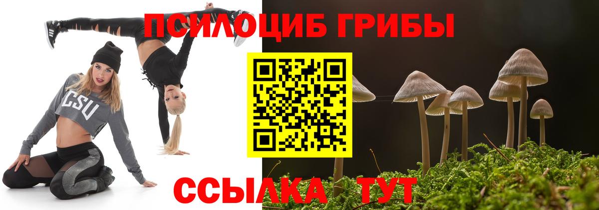 Псилоцибиновые грибы Magic Shrooms  Псилоцибиновые грибы мухоморы  Вход с VPN  Отрадный 